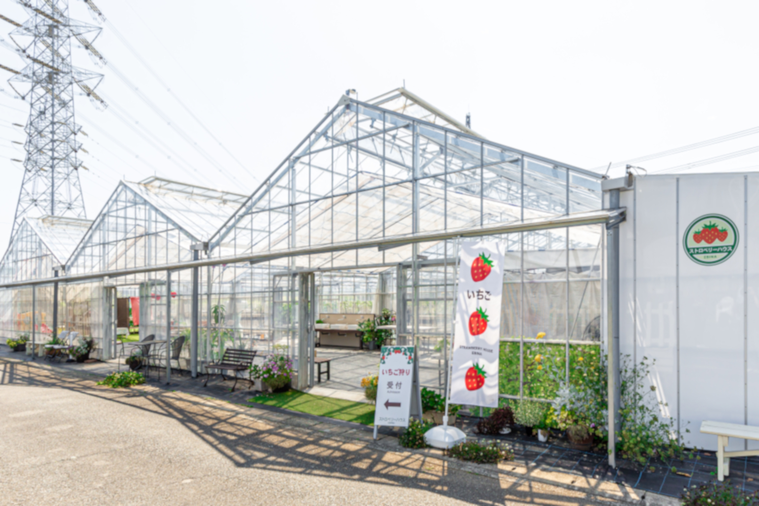 ストロベリーハウス EBINA【海老名】